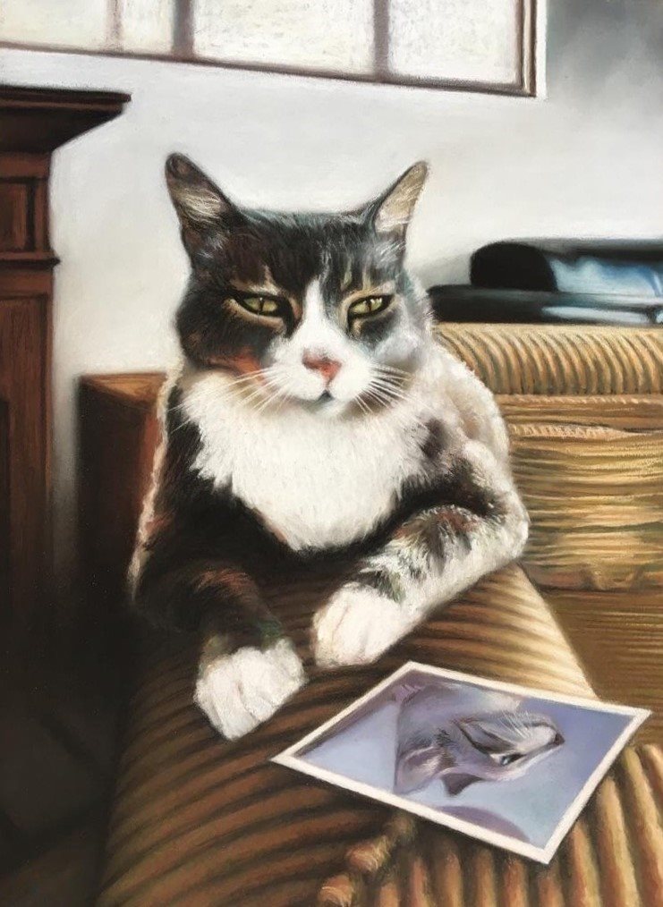 Cat sitting on the couch with photograph by Anna Stone - Charcoal and soft powder pastel on Canson paper