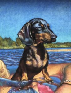 Duchshund playing in the water by Anna Stone - Soft powder pastel on toned Fabriano