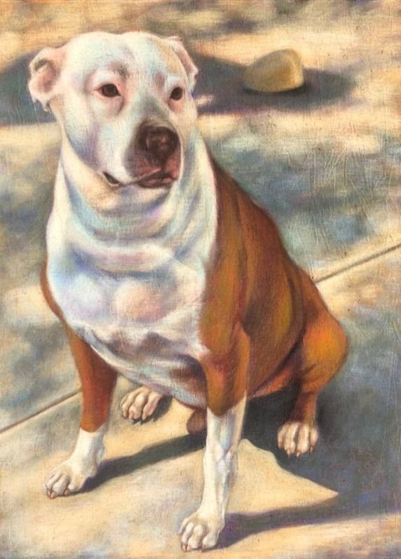 Sitting dog by Anna Stone - Soft powder pastel on cotton