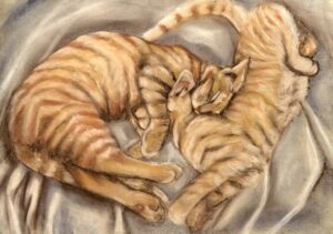 Two cats sleeping intertwined by Anna Stone - Coloured charcoal on toned Fabriano